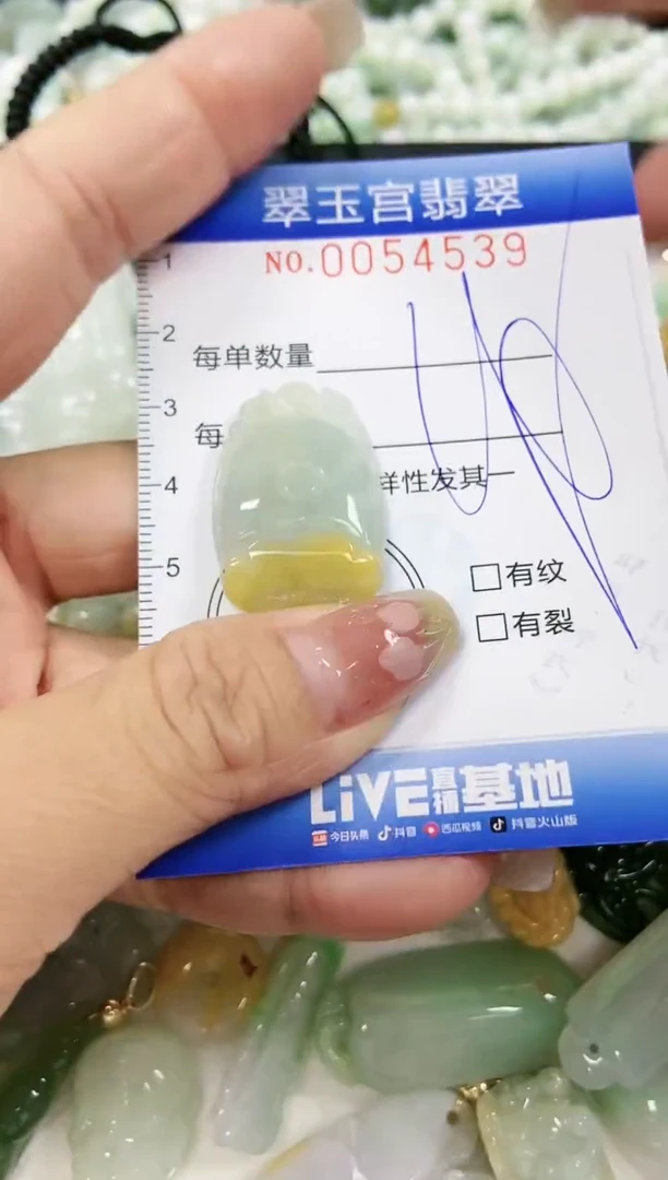 【闪购商品】翡翠颈饰未镶嵌闪购0054539