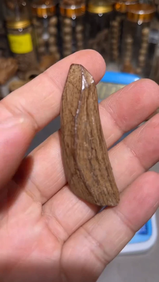 沉香沉香碎屑印尼土沉4.9（克）