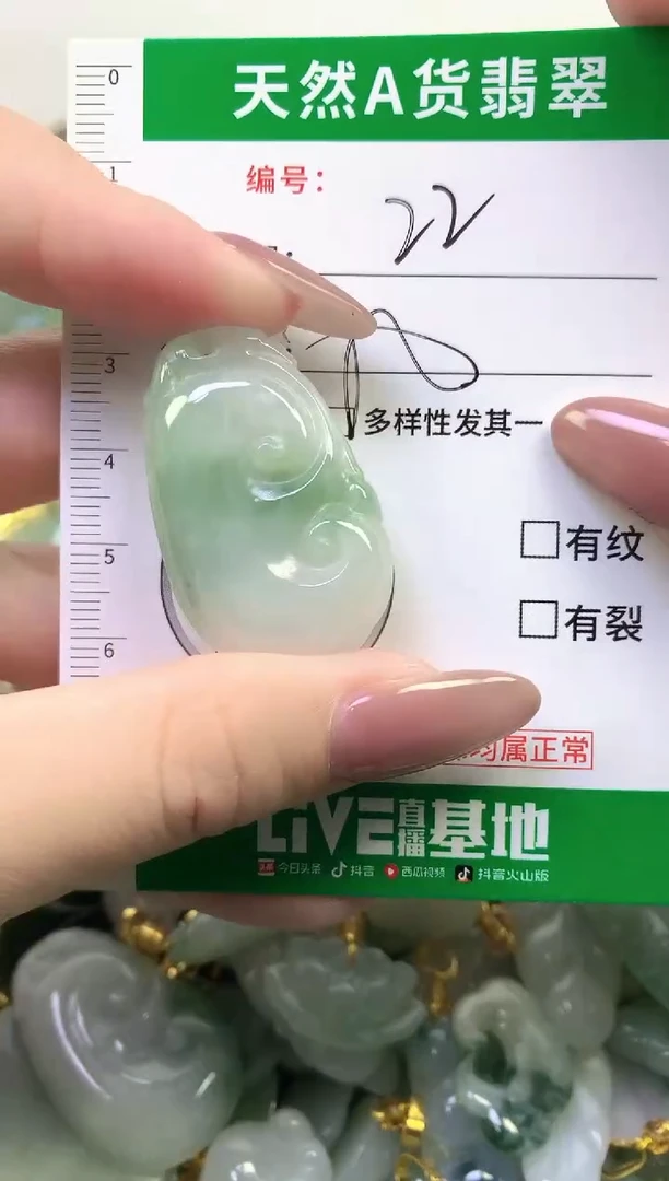 颈饰未镶嵌翡翠纯天然缅甸A货翡翠22