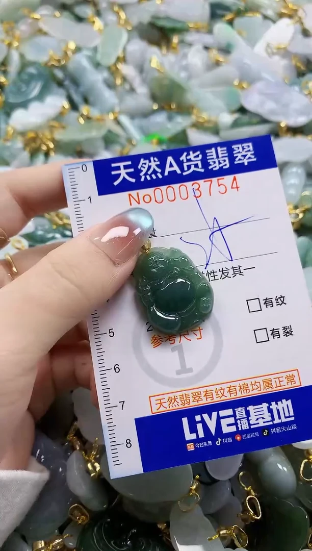 颈饰未镶嵌翡翠纯天然a货翡翠12