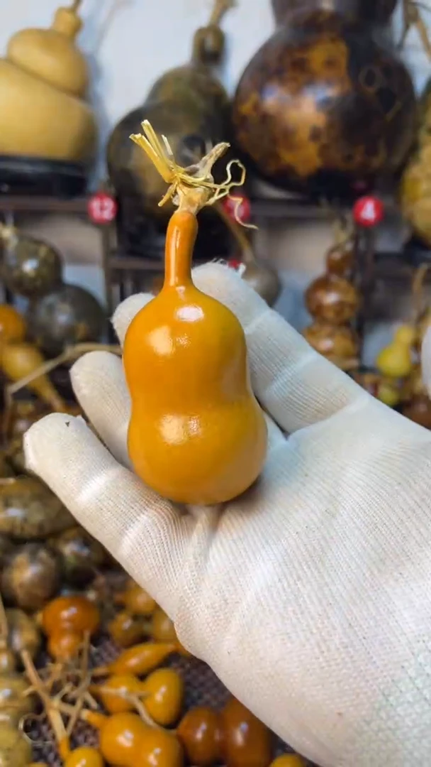 【闪购商品】葫芦葫芦葫芦葫芦葫芦