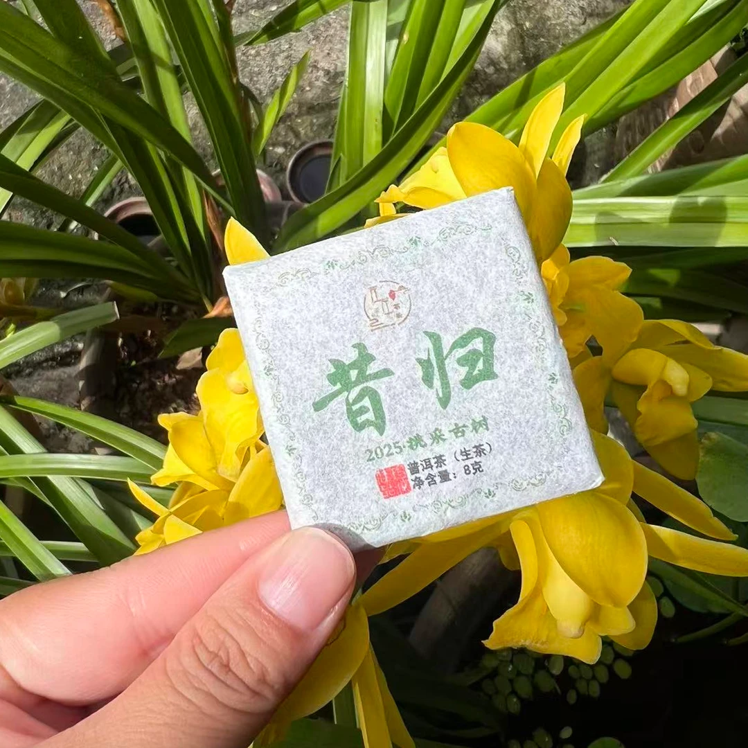 【25年昔归忙麓山】古树挑采8g小方块