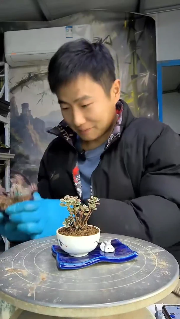 不**往中青园艺一物一拍427