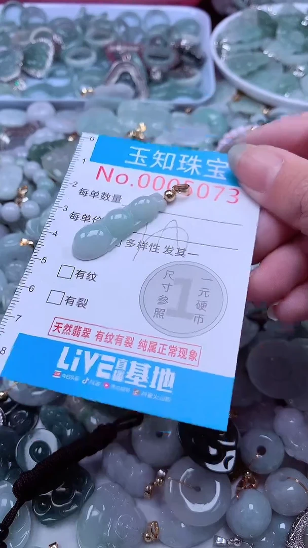 翡翠未镶嵌吊坠(不含链)5073