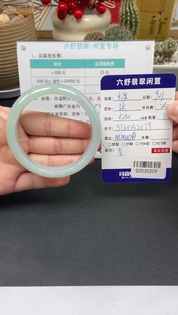 未镶嵌手镯翡翠水****?D2520209