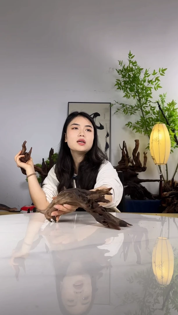 潘*拍这个定向编号11
