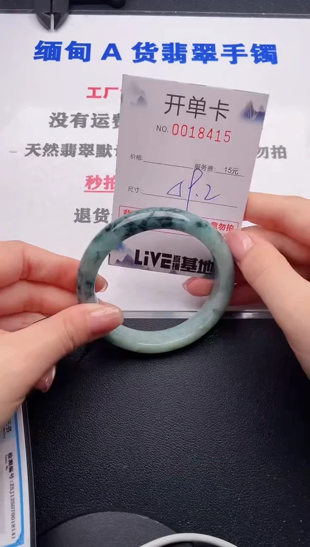 未镶嵌手镯翡翠15