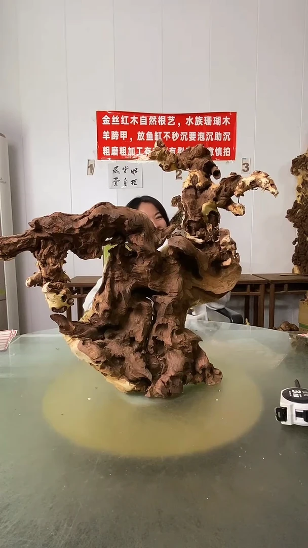 木老*公金丝红木  羊蹄甲