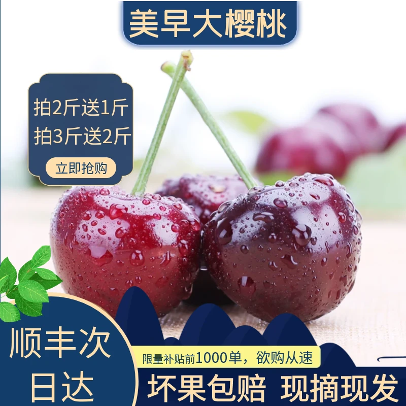顺丰包邮【到手5斤美早大樱桃】22-28mm现摘水果 买3斤送2斤 共5斤