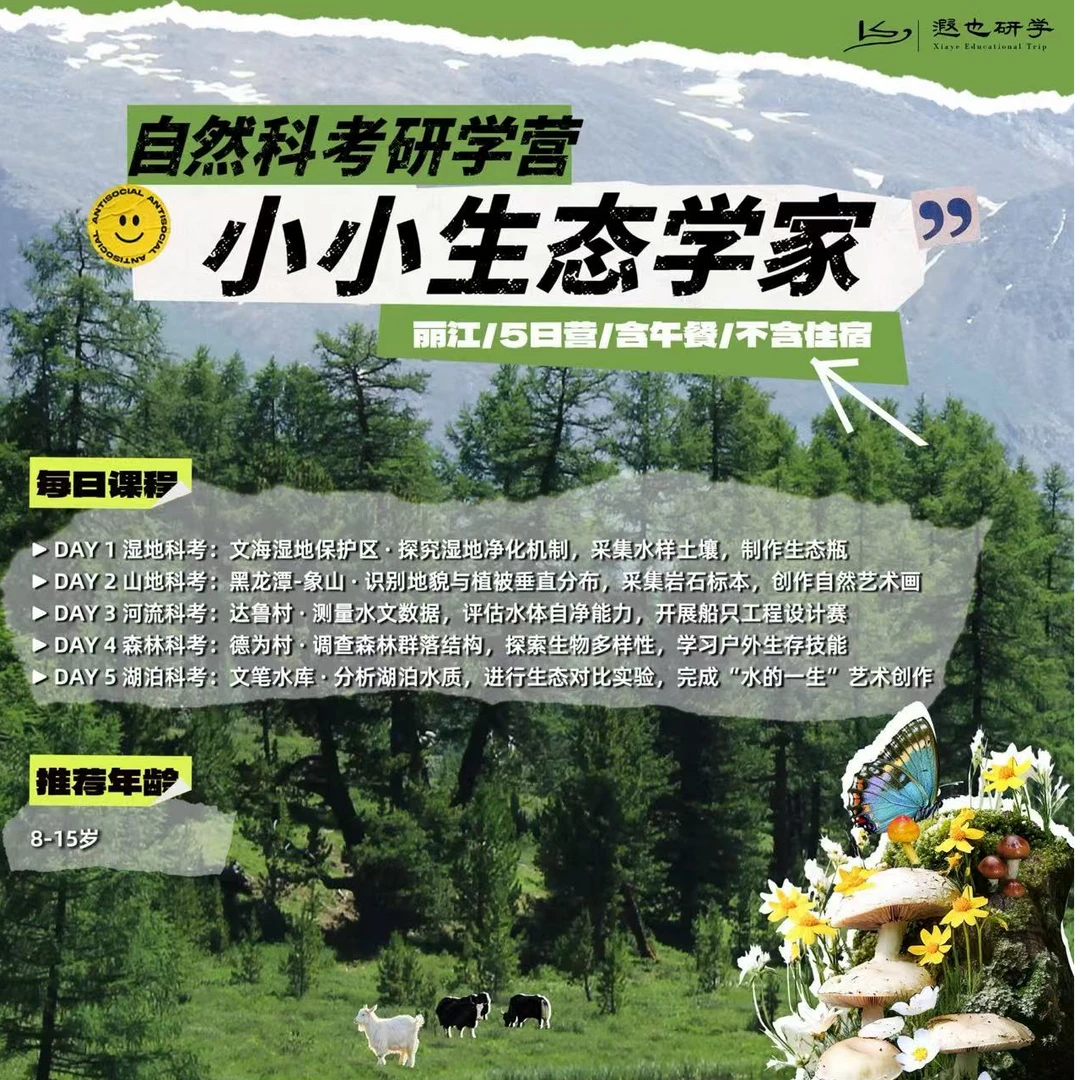 丽江在地研学｜小小生态学家：自然科考营