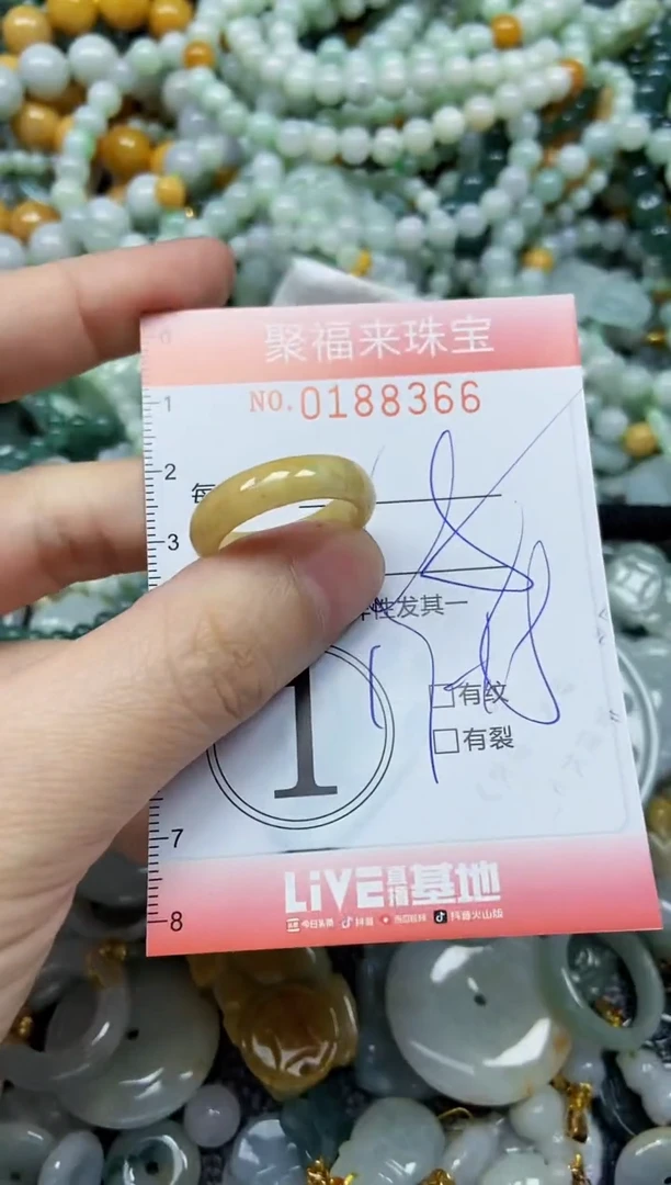 翡翠未镶嵌颈饰闪购0188366