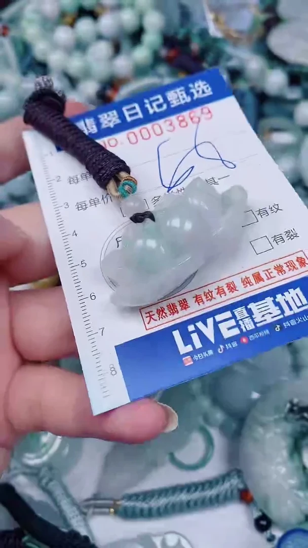 翡翠未镶嵌颈饰00003869