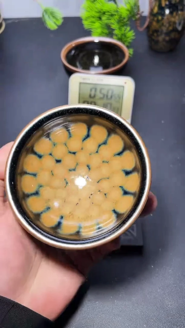 茶盏210叶紫建盏