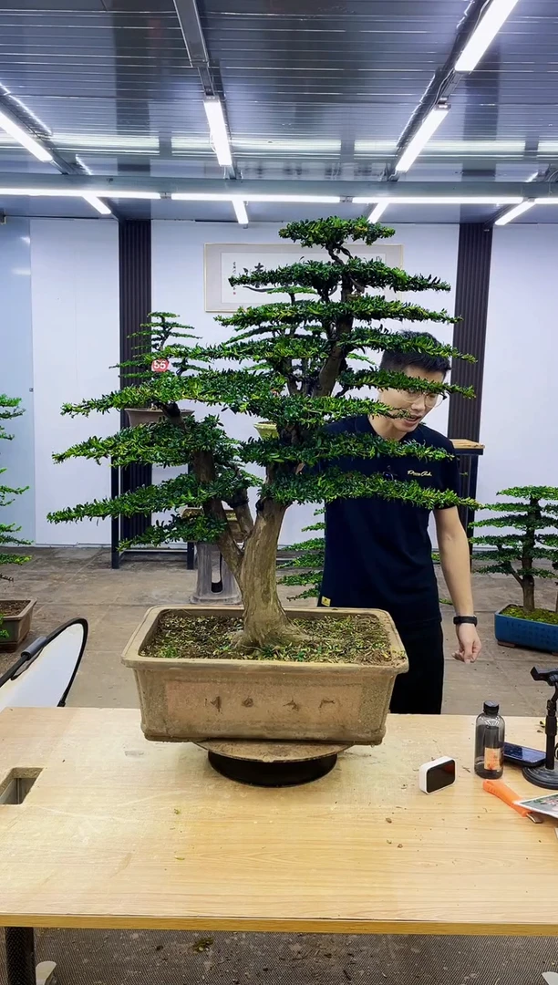 无花朵心**动000000000000000