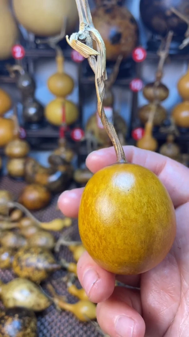 葫芦葫芦葫芦葫芦葫芦