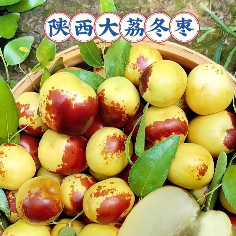 大荔冬枣/免费清洗/2斤装