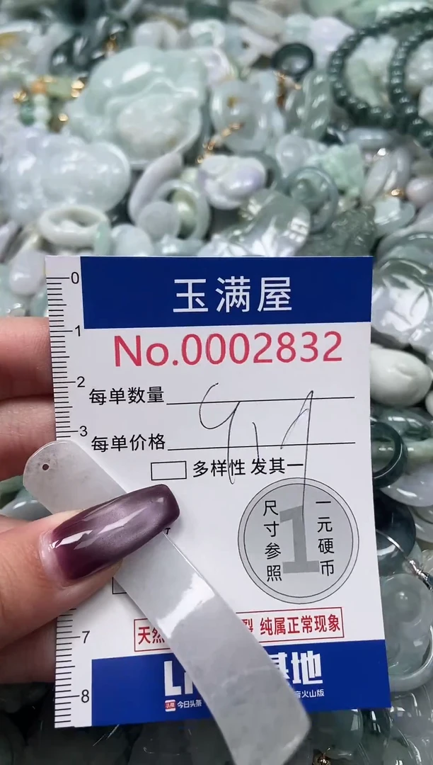 颈饰未镶嵌翡翠2831