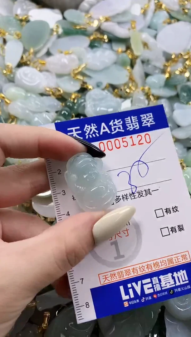 颈饰未镶嵌翡翠天然A货翡翠