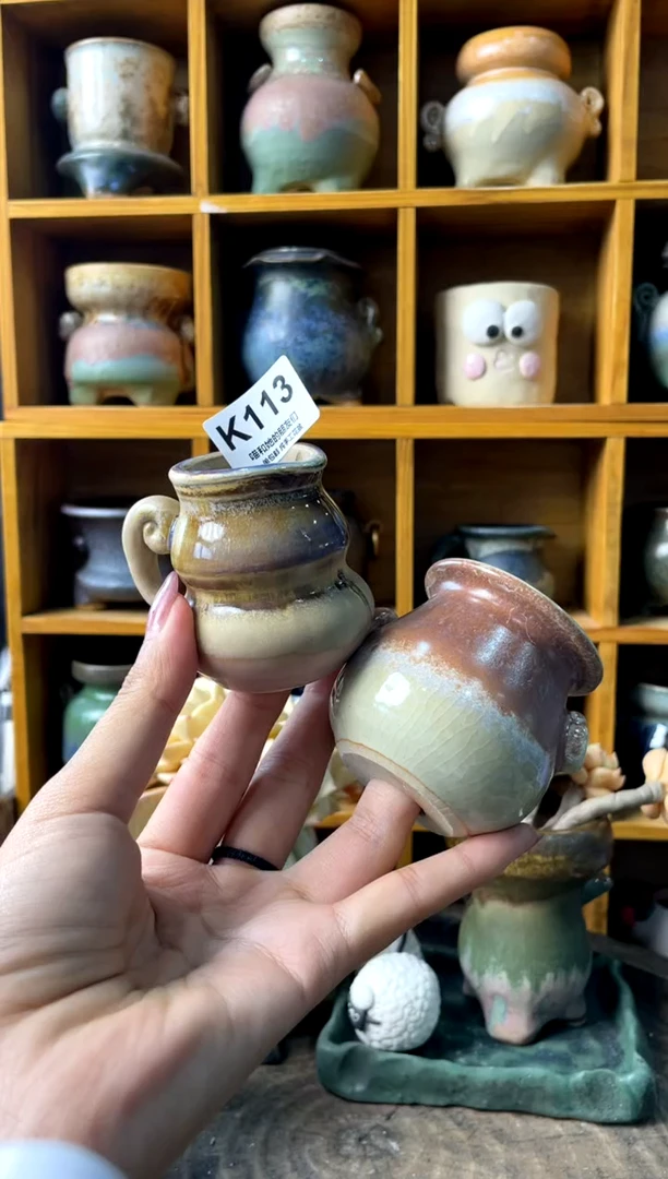 大***✨113【多肉花盆多肉盆】