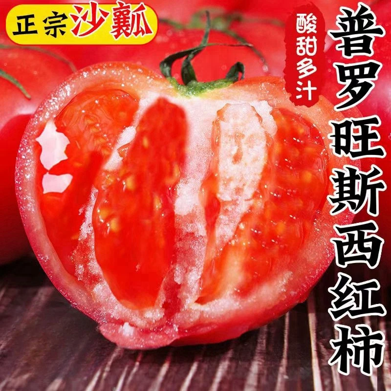 【自然熟】普罗旺斯西红柿当季新鲜时令整箱批发沙瓤美味优选番茄