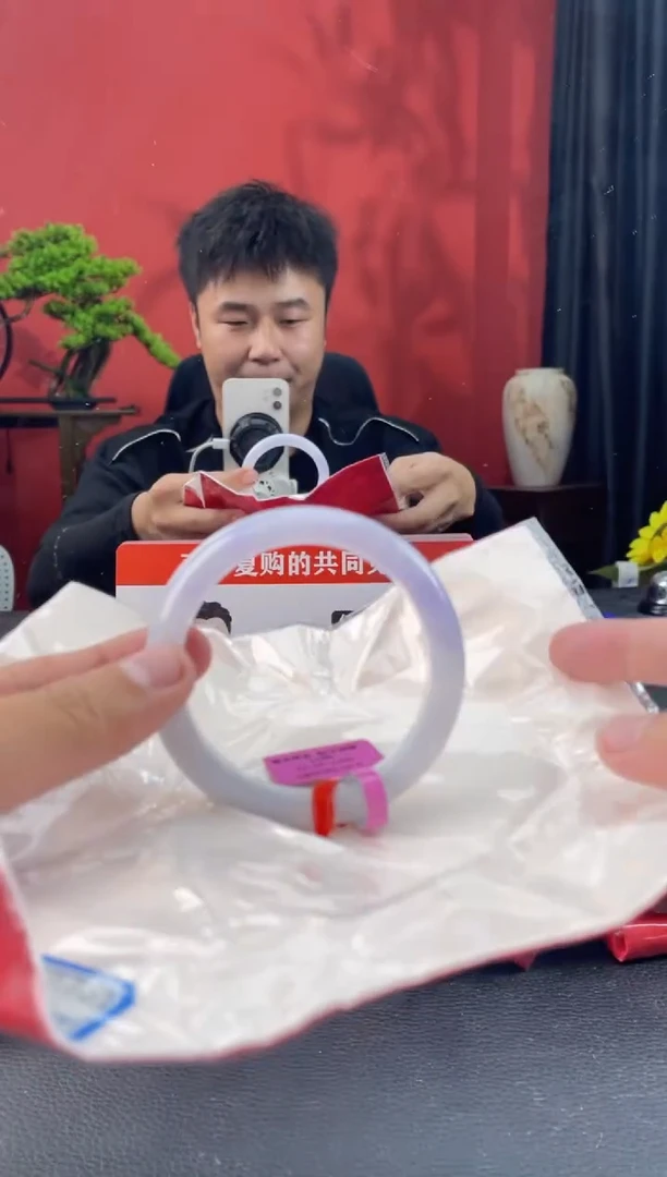 未镶嵌手镯翡翠2