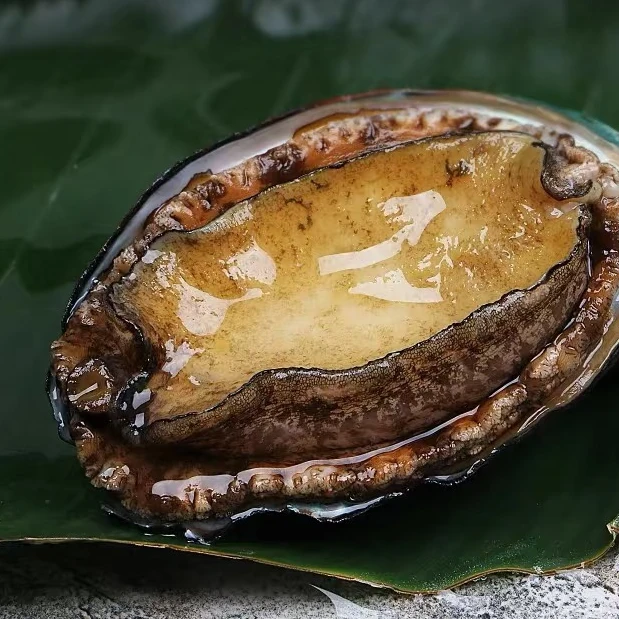 【10只10头】鲍鱼鲜活现捞新鲜鲍鱼顺丰上门同城配送