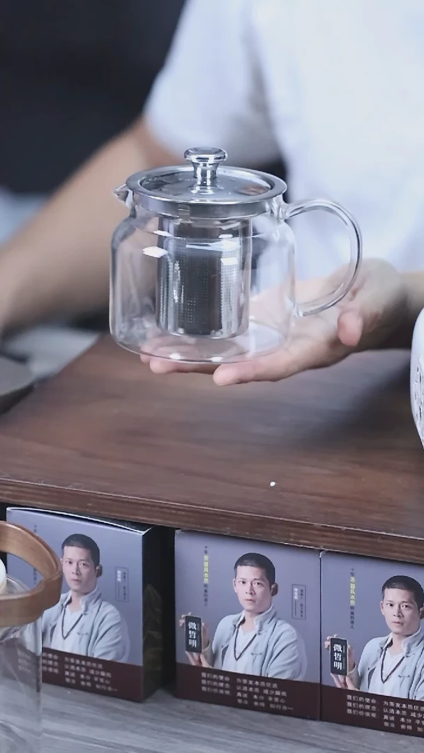 泡茶壶煮茶壶小容量500毫升