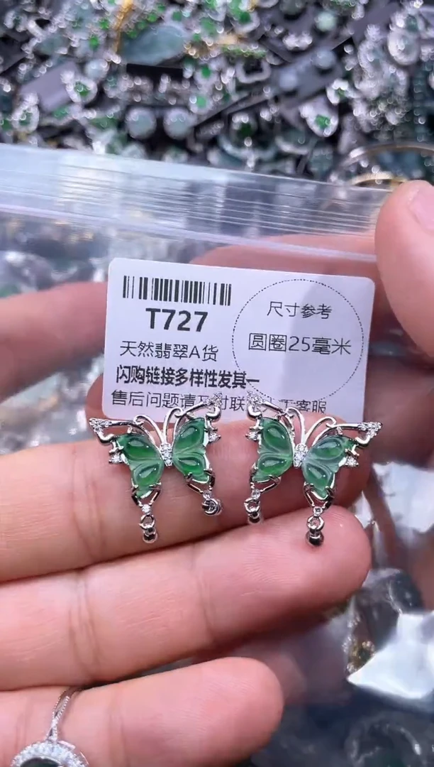 【闪购商品】翡翠颈饰未镶嵌T727多样性发其一