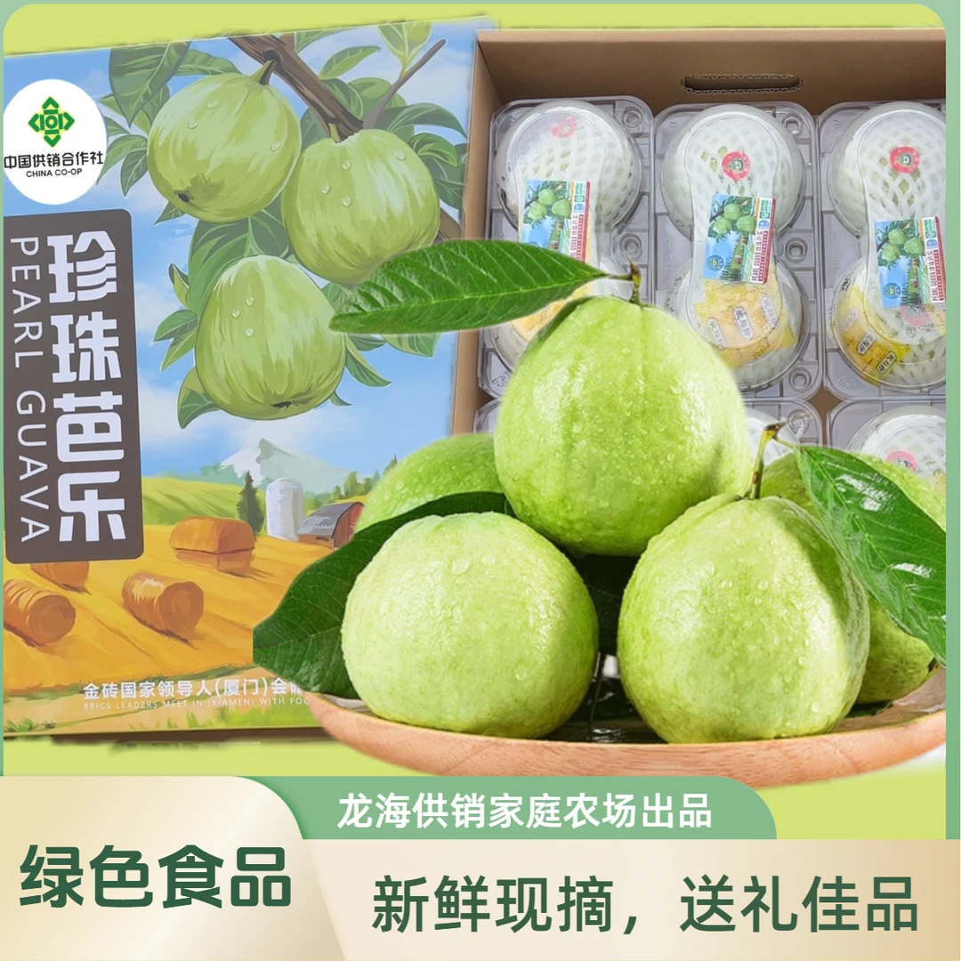 【龙海供销家庭农场】珍珠芭乐番石榴礼盒装现摘现发精选果