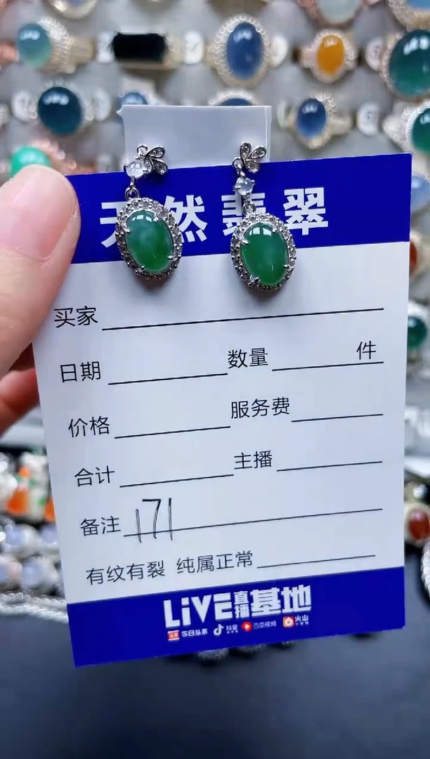 银S925镶嵌翡翠耳饰171