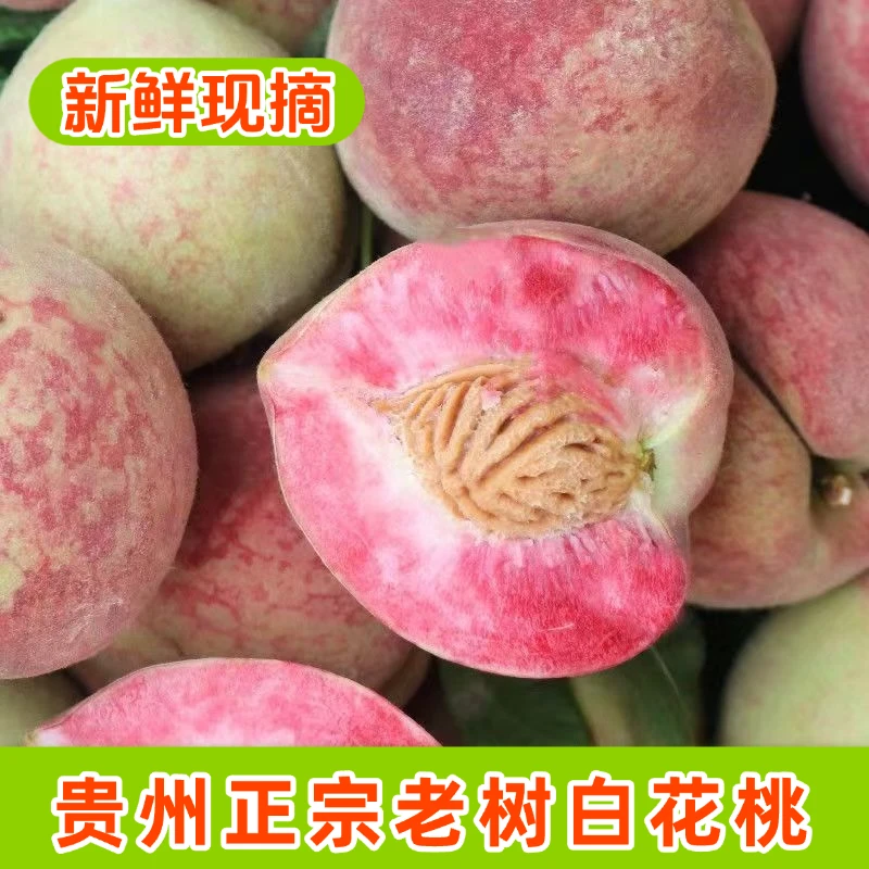 【顺丰包邮】贵州老树白花桃结桃毛桃现摘现发脆甜多汁