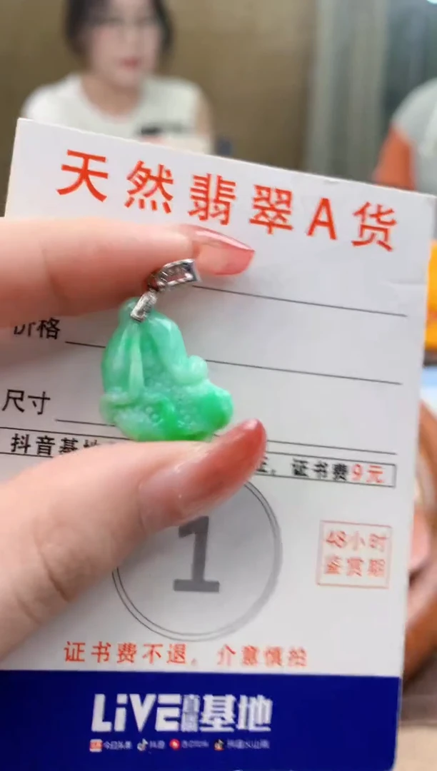 颈饰未镶嵌翡翠 天然A货翡翠挂件