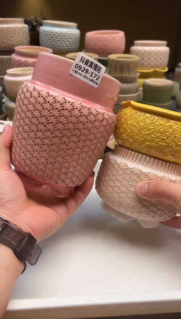 0929-172 内口11.5 秋日上盆季 “盆拍一发三”