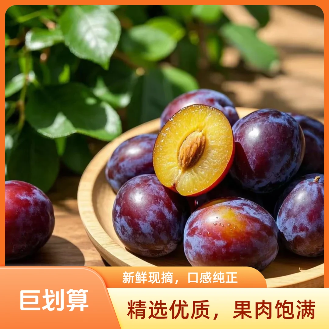 Z【顺丰冷链次日达】A级大果正宗头茬西梅应季水果现摘现发新鲜多汁爆甜脆爽放软更甜