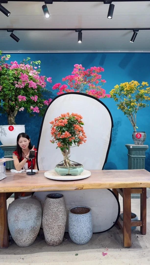 全部花朵不甜西瓜