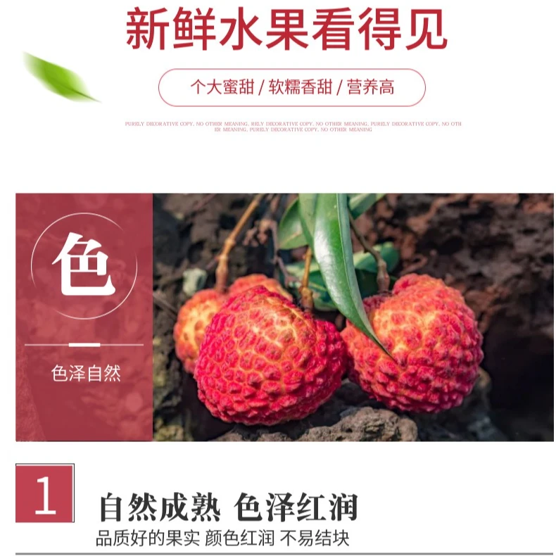 【顺丰/京东】新鲜海南火山荔枝王新鲜水果现摘现发当季超大个