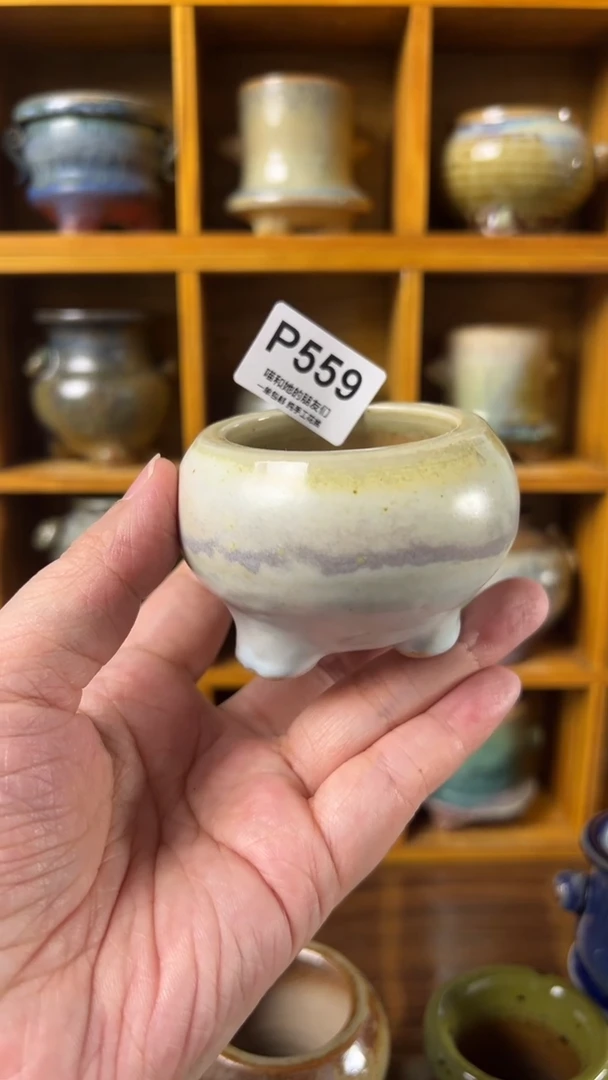 559 内口4.5【多肉花盆多肉盆】