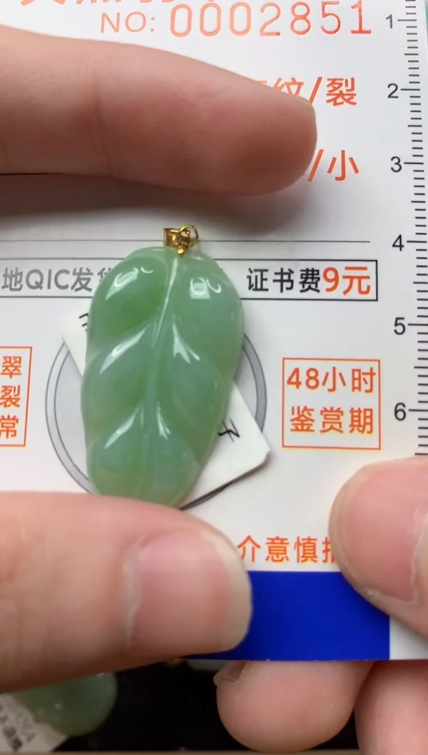 【闪购商品】翡翠颈饰18K金镶嵌1............