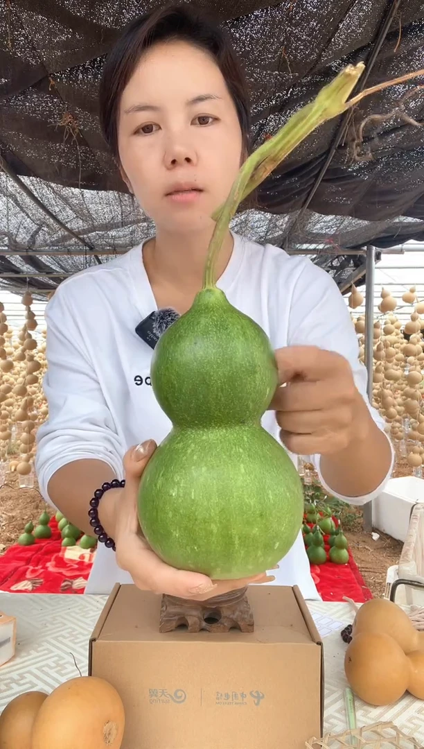 056天然葫芦摆件 一物一拍