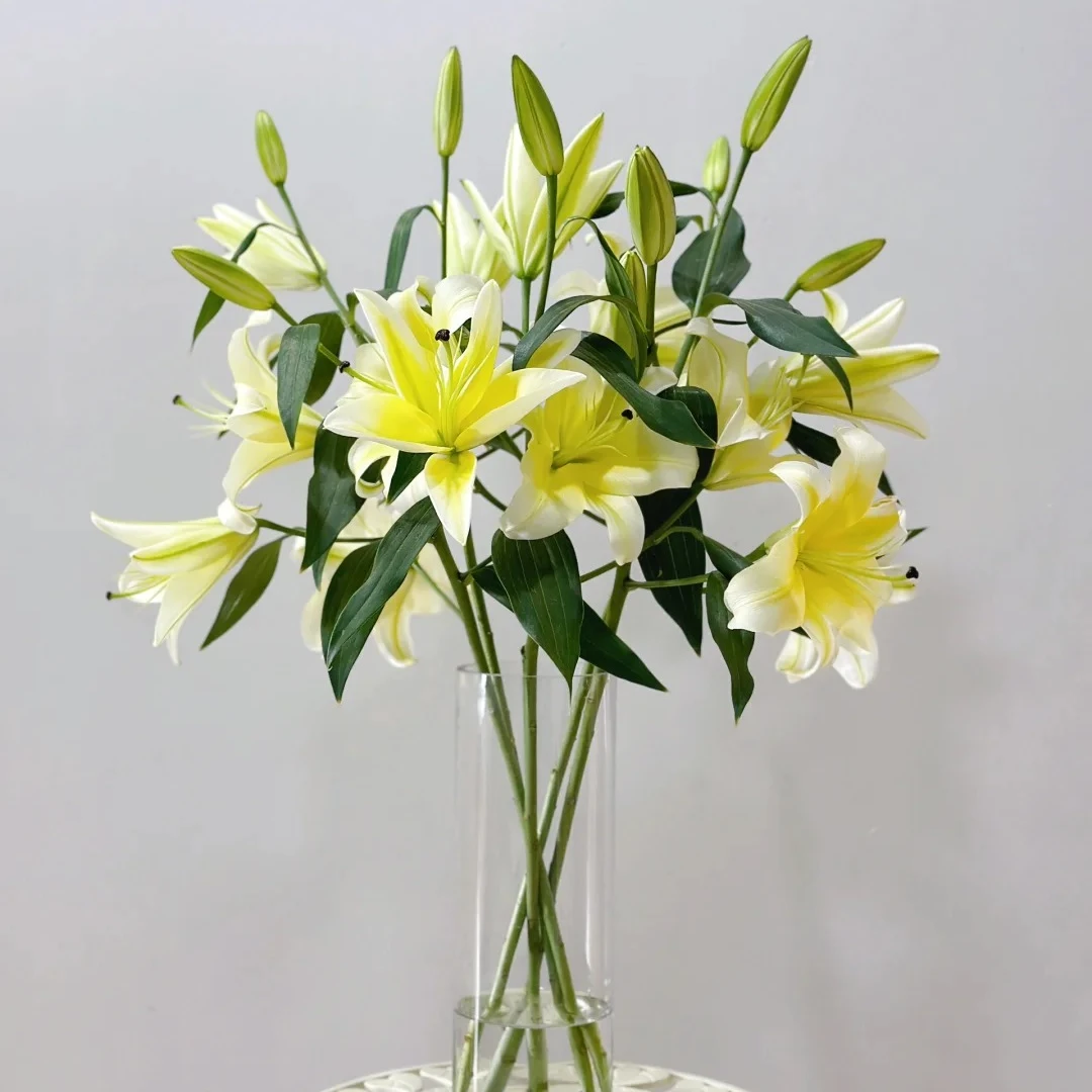 黄天霸百合两支四个头（全场任意满两单京东包邮）