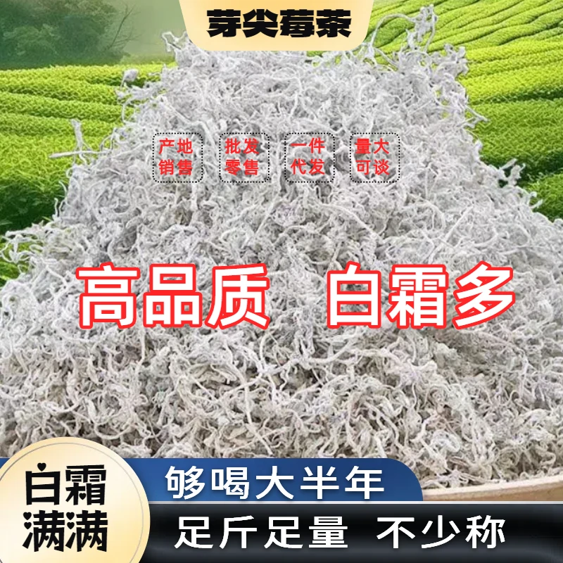 【没有干燥剂】湘西莓茶藤茶【不宰称】白霜莓茶芽尖张家界【足称足量】