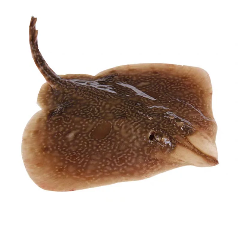 整条魔鬼鱼新鲜特大老板鱼鲜活冷冻海鲜老子鱼蝶鱼3-13斤包邮