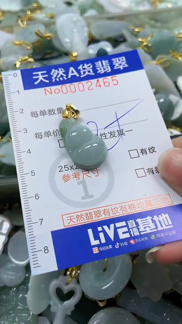 颈饰未镶嵌翡翠纯天然a货翡翠