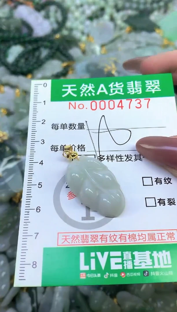 颈饰未镶嵌翡翠纯天然缅甸A货翡翠