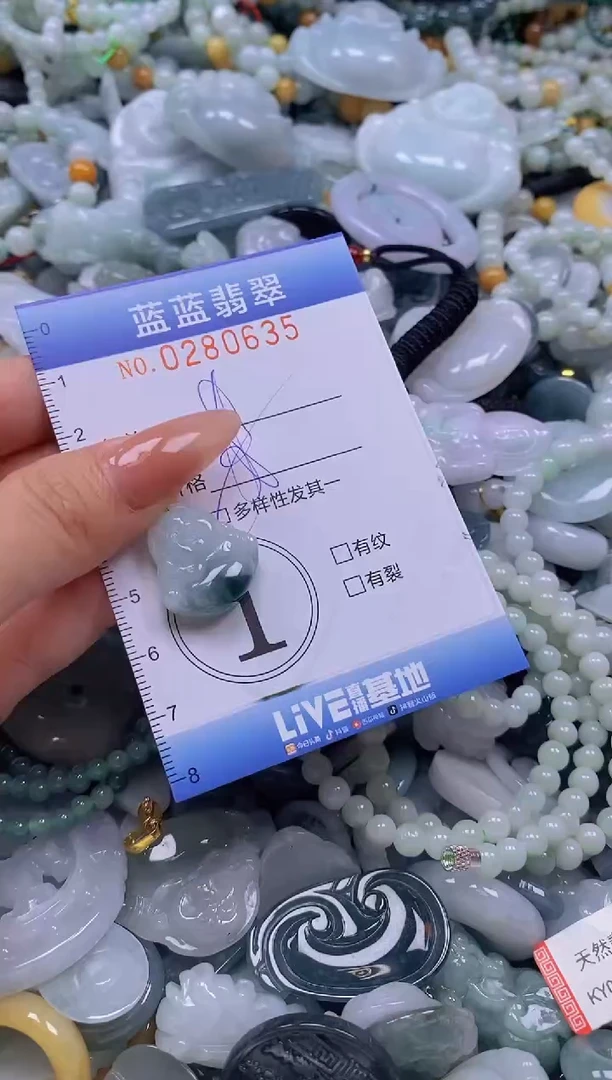 翡翠未镶嵌颈饰闪购0280635多样性发其一