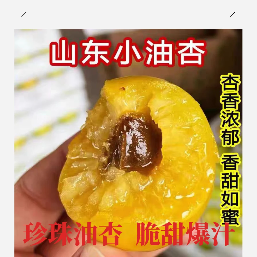 山东小白杏珍珠油杏同款新疆小白杏  极速发货现摘现发
