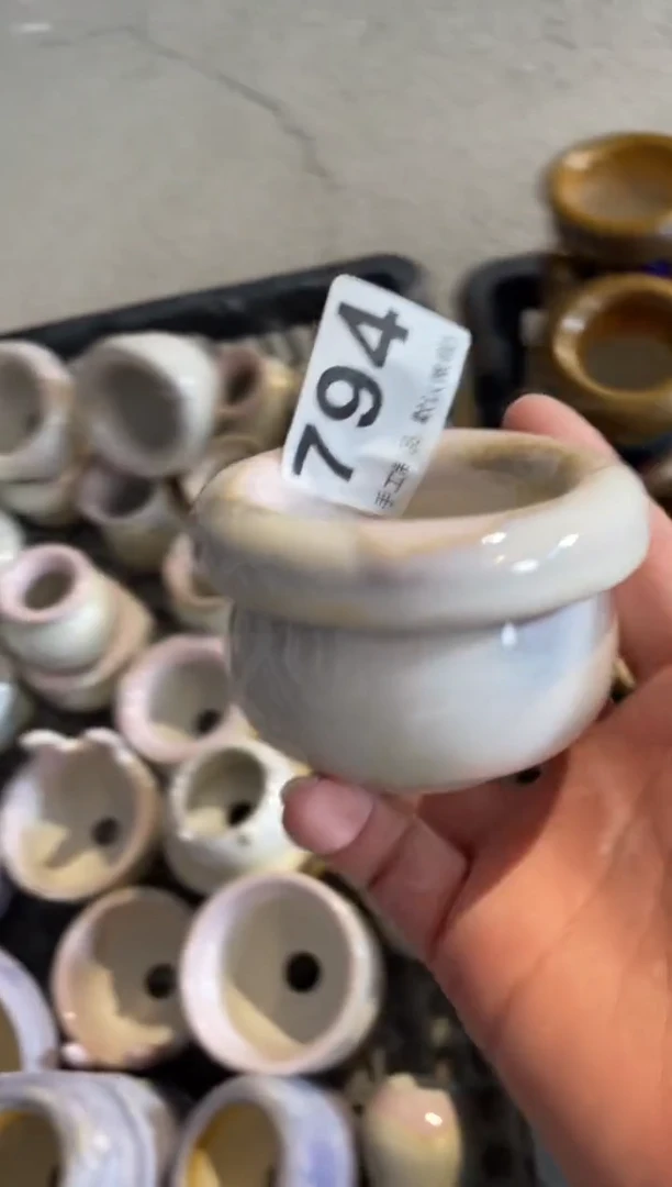瓷片794小芳直播编号
