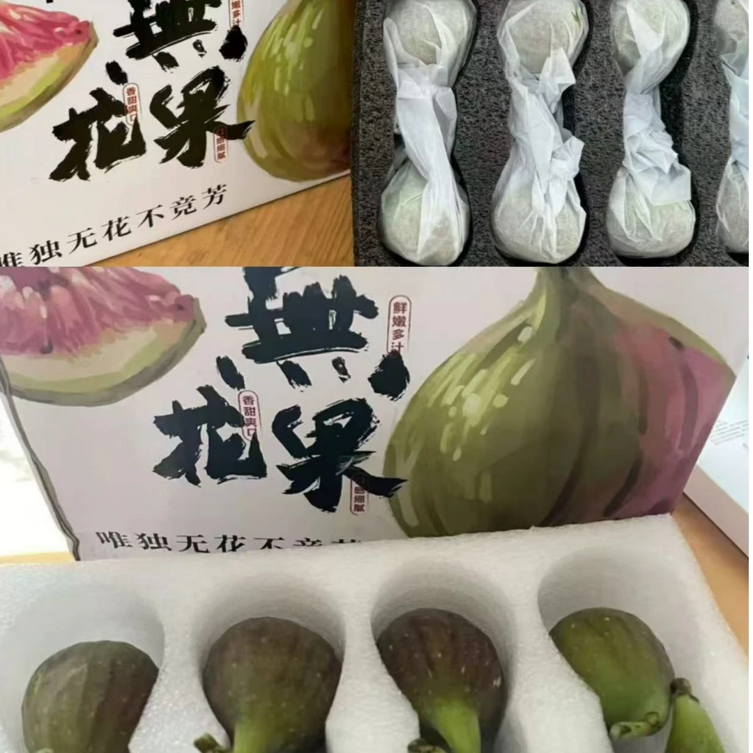 逸禾无花果双拼16-24颗（斯特拉+大芭）顺丰空运现摘无花果