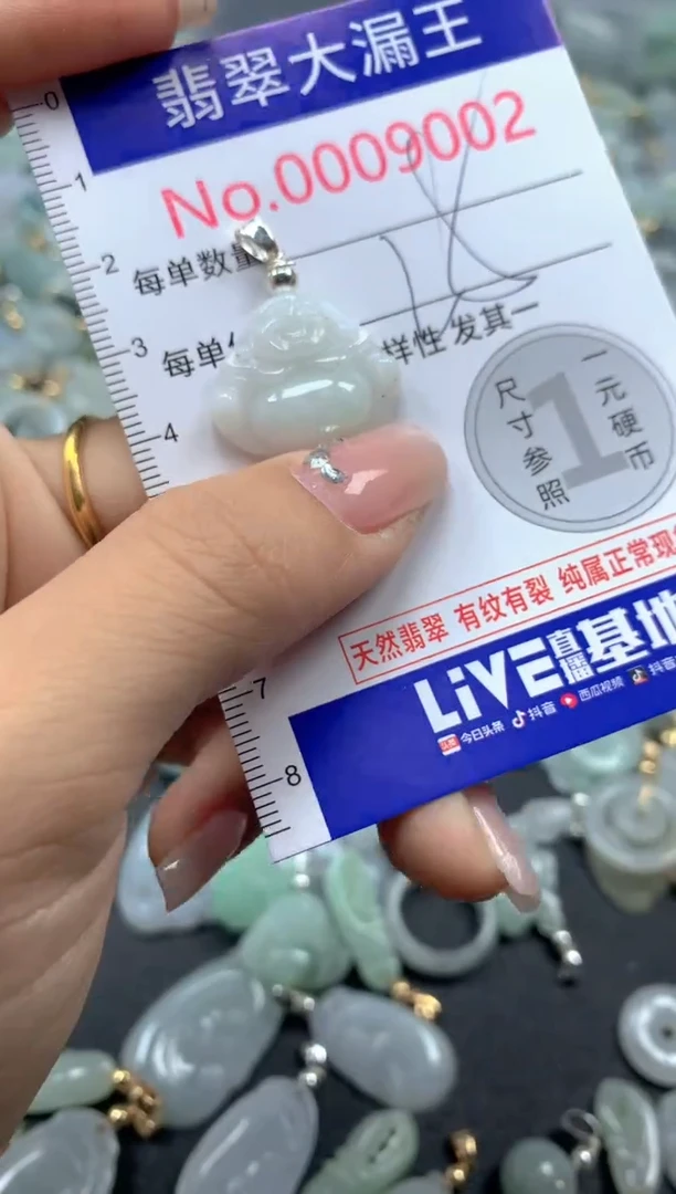 颈饰未镶嵌翡翠9002