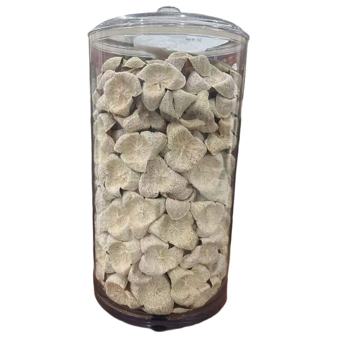 2025 梅江 大红 碗仔皮 6.8kg